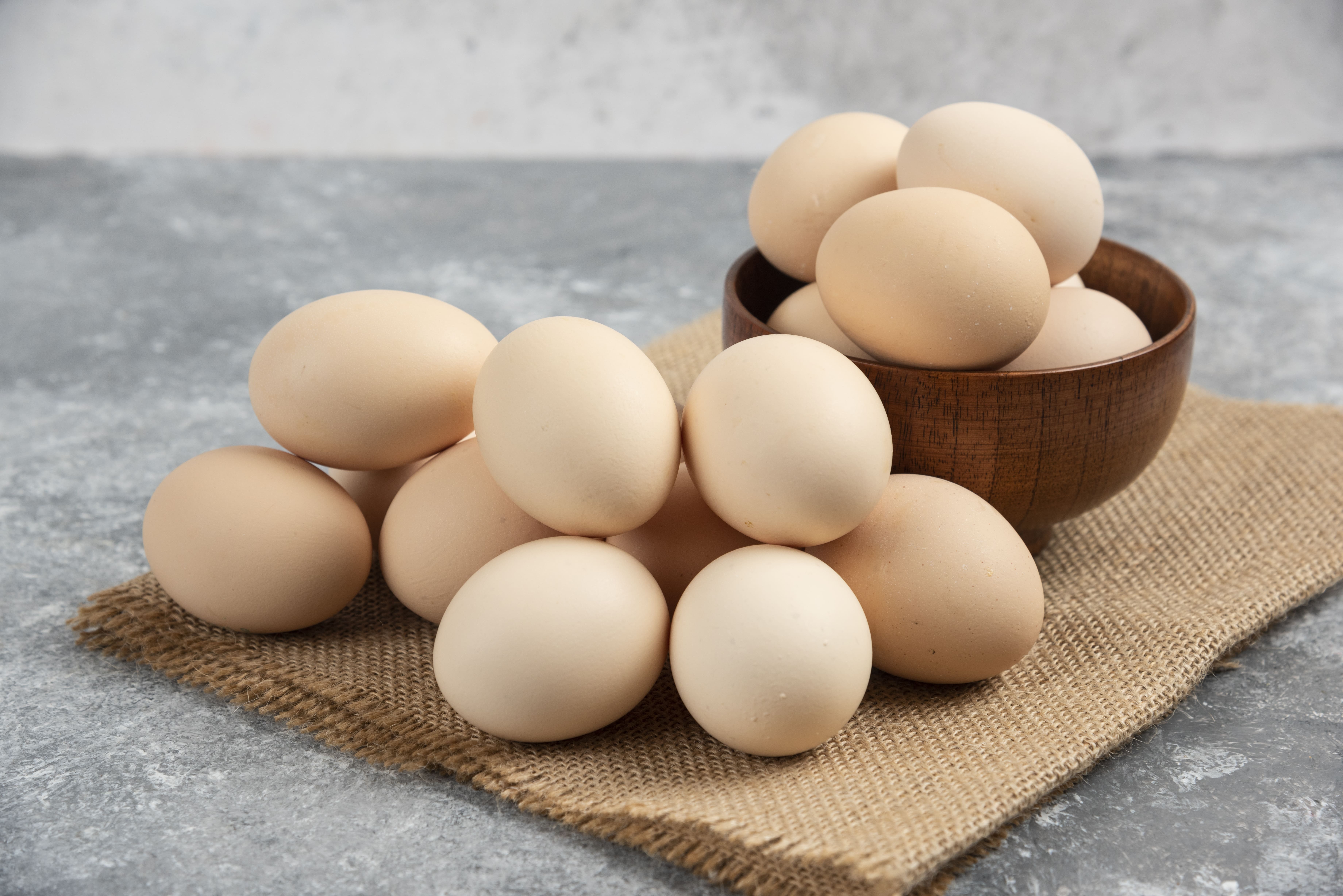 Peran Telur dalam Memenuhi Kebutuhan Protein