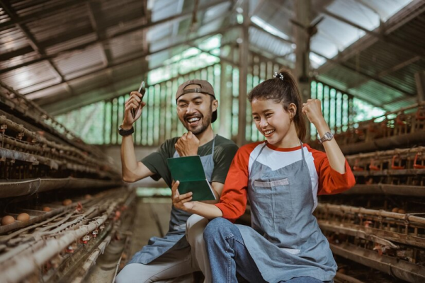 Tips Sukses Ternak Unggas